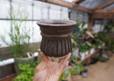 保田修作  pot No.11