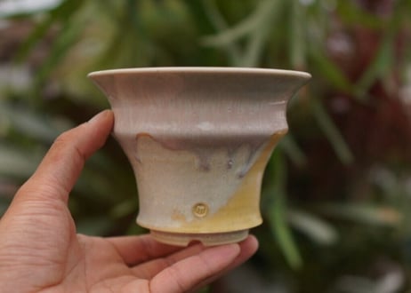 持木祐一pot NO.11