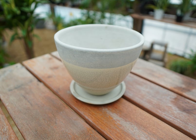 植木鉢 鉢皿付き No.1 | mana's farm:塊根植物・アガベ・ドライ