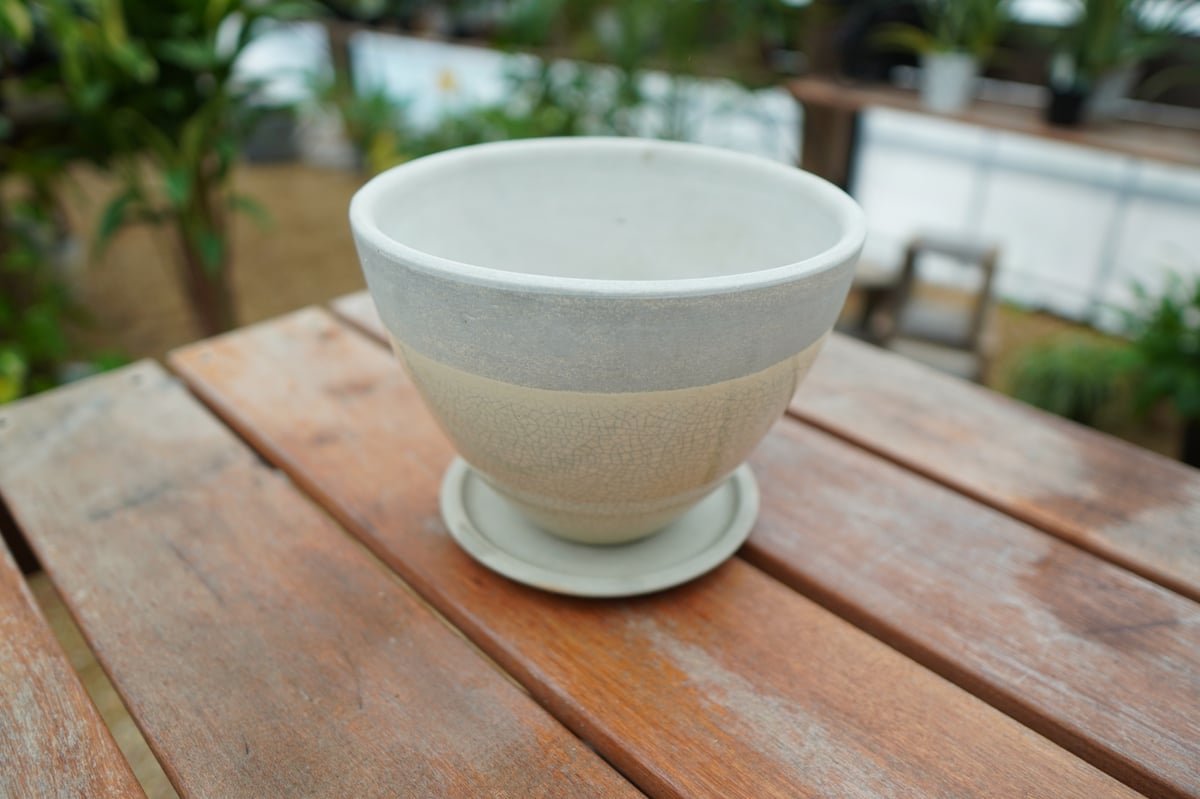 植木鉢 鉢皿付き No.1 | mana's farm:塊根植物・アガベ・ドライ