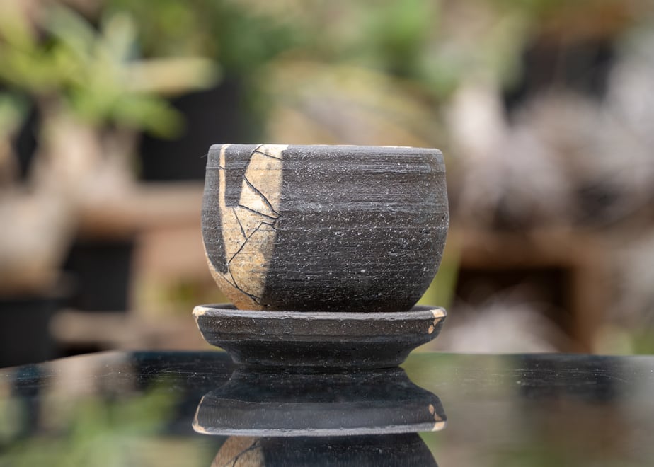 67c8f083be5fcdbea7d5114b
