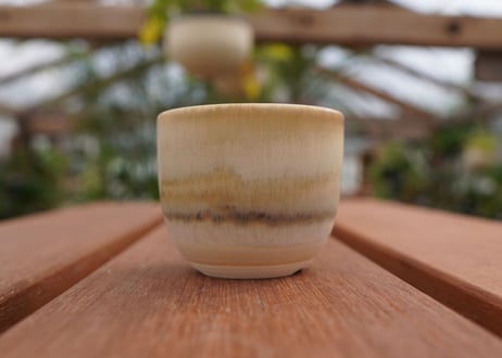 關まどか pot NO.1-6　F