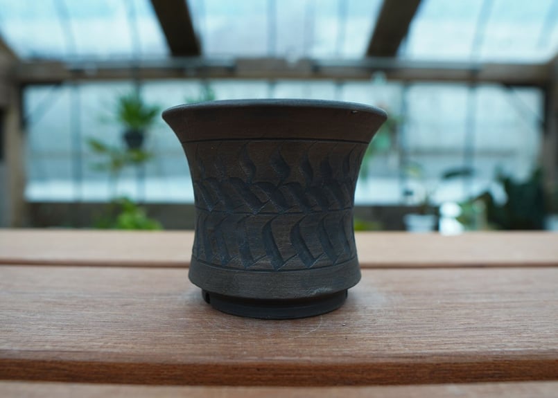 保田修作 pot No.57 | mana's farm:塊根植物・アガベ・ドライガーデン植