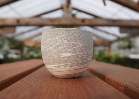 關まどか pot NO.22-4 F