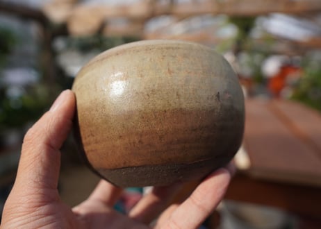 關まどか pot NO.17-1