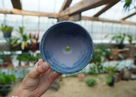 神田知広pot No.12