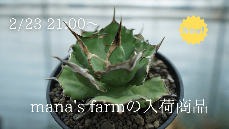 fit=scale-down,w=874