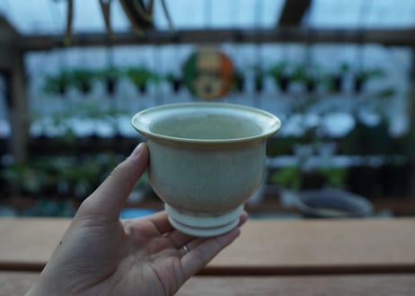 持木祐一 pot  No.36