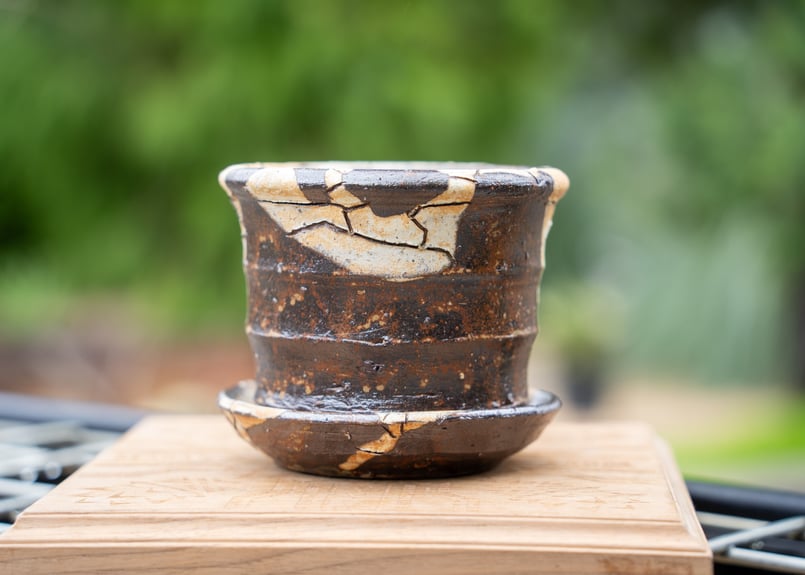 塊根植物 約15cm 茶色の陶器鉢 hechicami No.1 | mana's farm:塊根植物・アガベ・ドライガーデン植物