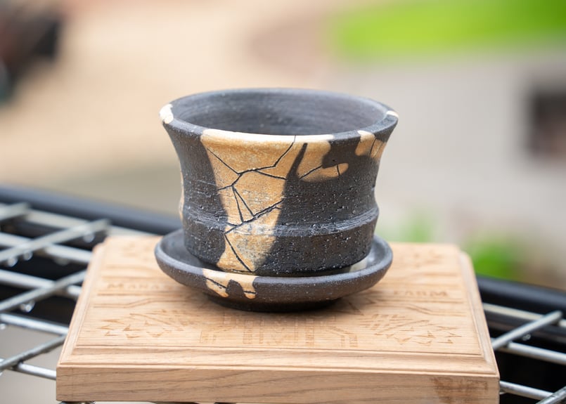 hechicami No.4 | mana's farm:塊根植物・アガベ・ドライガーデン植物