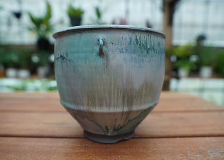 神田知広pot No.22