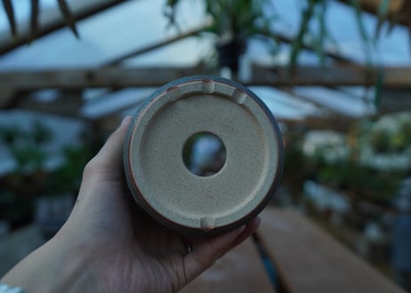 持木祐一 pot  No.62