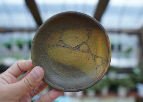 hechicami pot NO.16