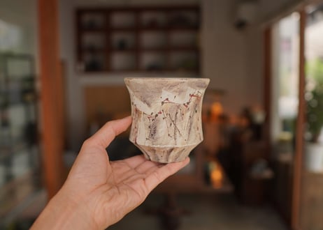 沼野秀章 pot No.39