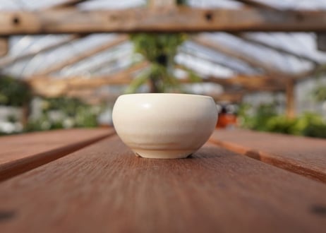 關まどか pot NO.20-2