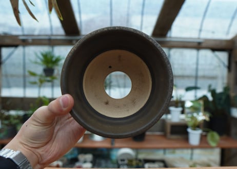 保田修作  pot No.71