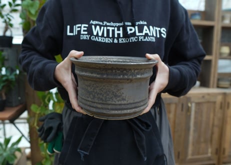 保田修作  pot No.75