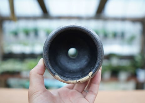 hechicami pot NO.1