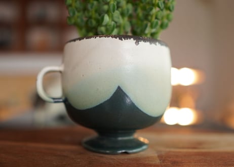 ペペロミア コルメラ Peperomia columella