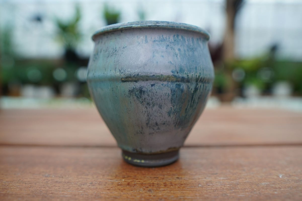 神田知広pot No.4 | mana's farm:塊根植物・アガベ・ドライガーデン