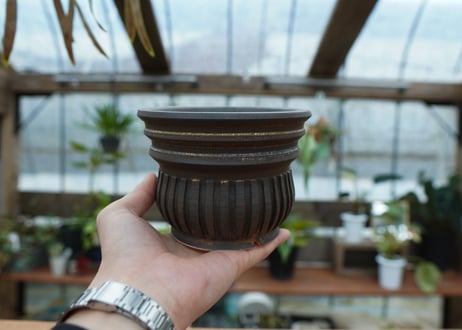 保田修作  pot No.50