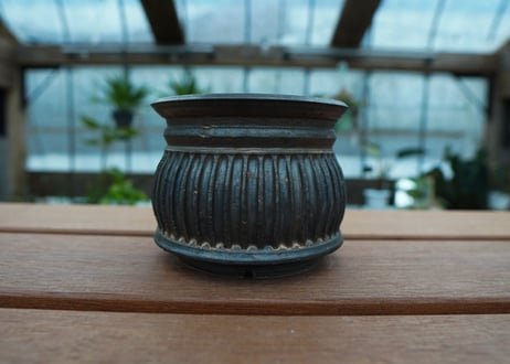 保田修作  pot No.64