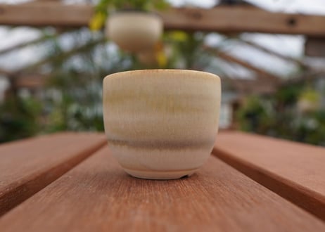 關まどか pot NO.1-5　F