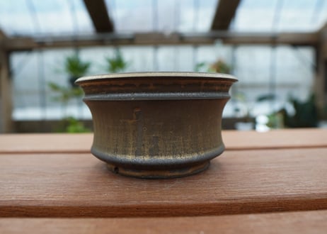 保田修作  pot No.38