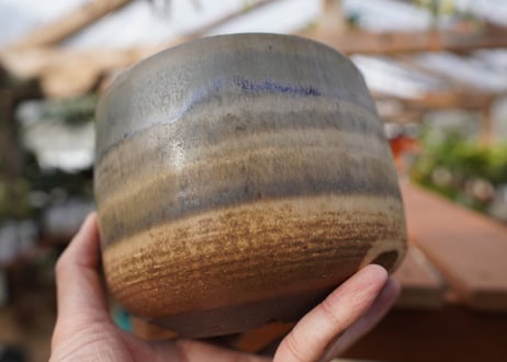 關まどか pot NO.21-1 F