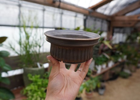 保田修作  pot No.14