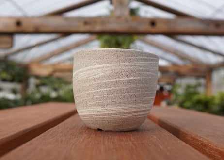 關まどか pot NO.22-2 F
