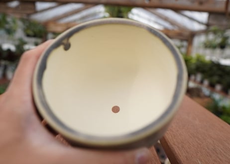 關まどか pot NO.28-2　F