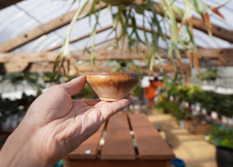 關まどか pot NO.20-1　Ｇ