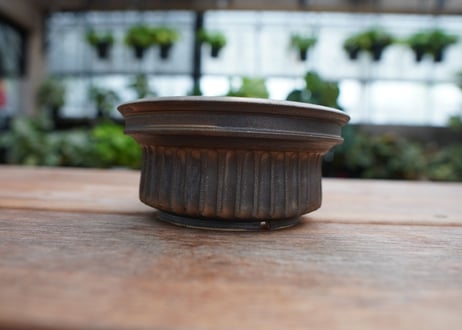 保田修作  pot No.14