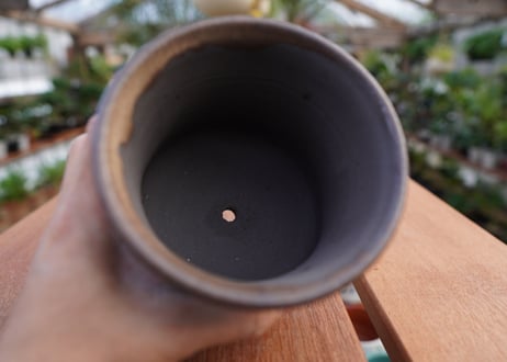 關まどか pot NO.11-5 F