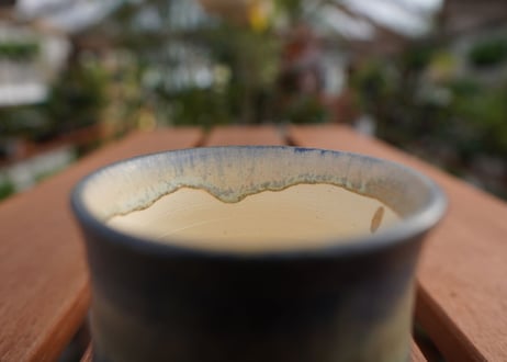 關まどか pot NO.7-4　F