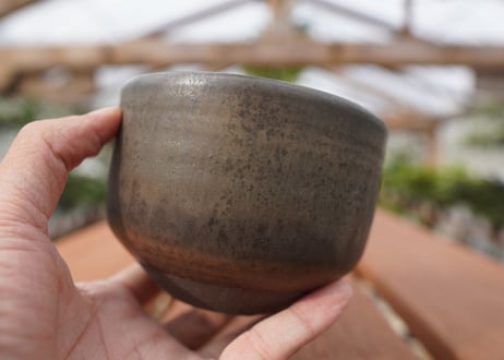 關まどか pot NO.25-2　Ｇ