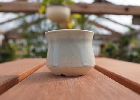 關まどか pot NO.5-8　Ｇ