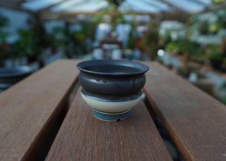 持木祐一 pot  No.16