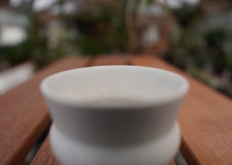 持木祐一pot NO.10