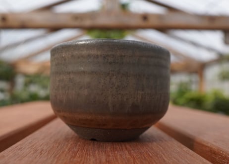 關まどか pot NO.25-2　Ｇ
