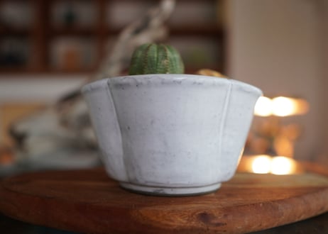 ユーフォルビア　オベサ　Euphorbia obesa