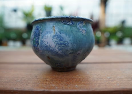 神田知広pot No.12
