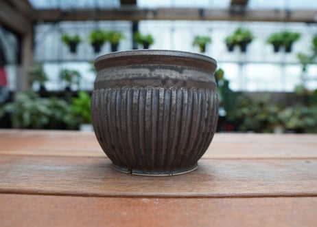 保田修作  pot No.15