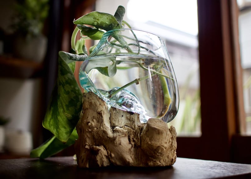 り*う様 特大流木アクアリウム