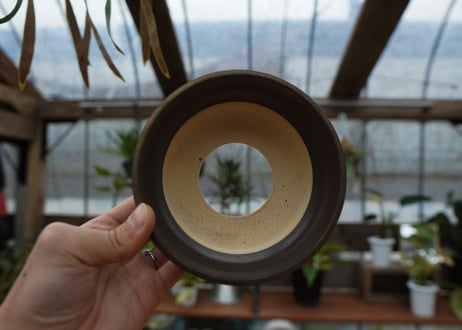 保田修作  pot No.15