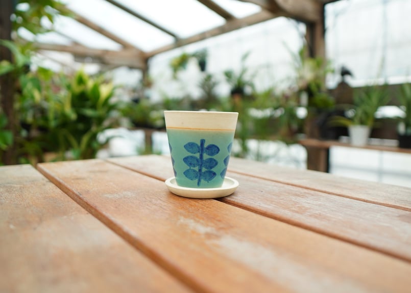 ラベニア ヤシ ファイバー鉢 お皿付き ラベニア ヤシ ファイバー鉢 お