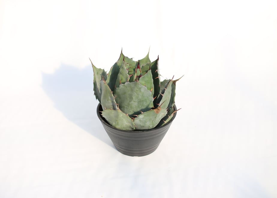 5c5951966870245894cd6ff8
