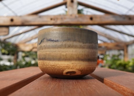 關まどか pot NO.21-1 F