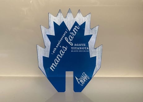 CATEGORY コラボ商品 | mana's farm:塊根植物・アガベ・ドライ